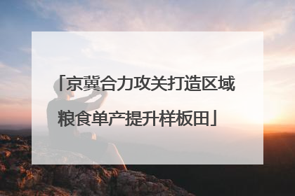 京冀合力攻关打造区域粮食单产提升样板田