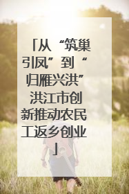 从“筑巢引凤”到“归雁兴洪” 洪江市创新推动农民工返乡创业