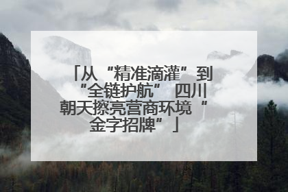 从“精准滴灌”到“全链护航” 四川朝天擦亮营商环境“金字招牌”
