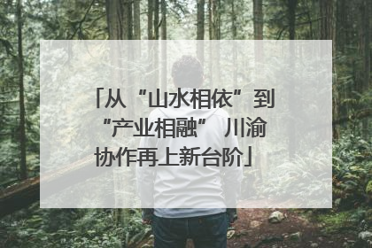 从“山水相依”到“产业相融” 川渝协作再上新台阶