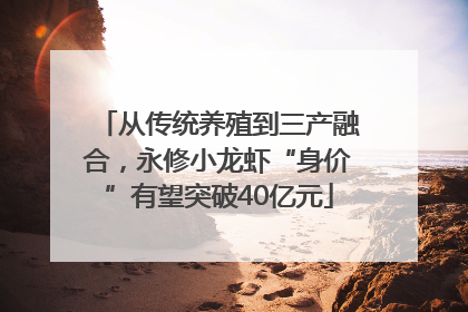 从传统养殖到三产融合，永修小龙虾“身价”有望突破40亿元