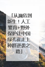 从濒危到新生！人工繁育+野外保护让中国绿孔雀走上种群逆袭之路