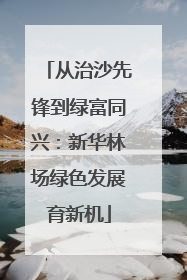 从治沙先锋到绿富同兴：新华林场绿色发展育新机