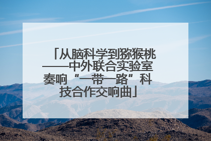 从脑科学到猕猴桃——中外联合实验室奏响“一带一路”科技合作交响曲