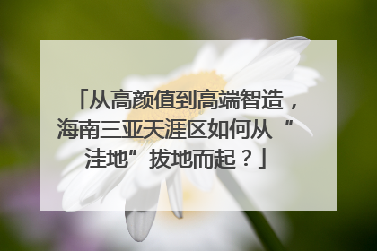 从高颜值到高端智造，海南三亚天涯区如何从“洼地”拔地而起？