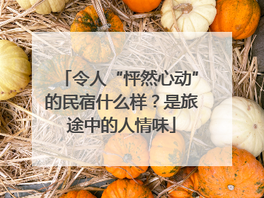 令人“怦然心动”的民宿什么样？是旅途中的人情味