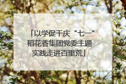 以学促干庆“七一” 稻花香集团党委主题实践走进百里荒