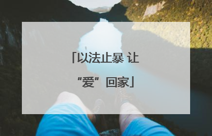 以法止暴 让“爱”回家