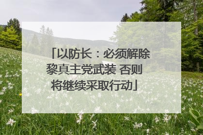 以防长：必须解除黎真主党武装 否则将继续采取行动