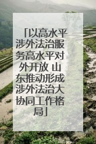 以高水平涉外法治服务高水平对外开放 山东推动形成涉外法治大协同工作格局