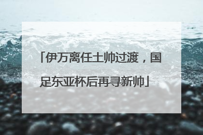 伊万离任土帅过渡，国足东亚杯后再寻新帅