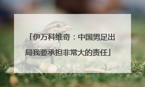 伊万科维奇：中国男足出局我要承担非常大的责任