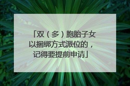 双（多）胞胎子女以捆绑方式派位的，记得要提前申请