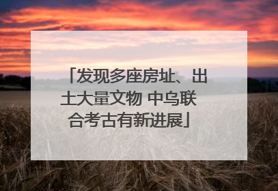 发现多座房址、出土大量文物 中乌联合考古有新进展