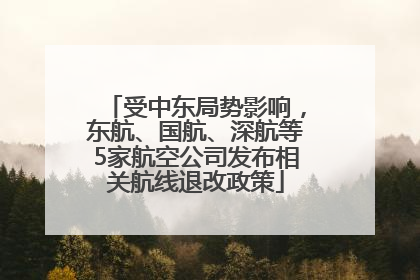 受中东局势影响，东航、国航、深航等5家航空公司发布相关航线退改政策