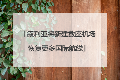 叙利亚将新建数座机场 恢复更多国际航线