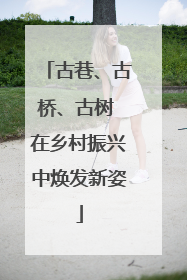 古巷、古桥、古树 在乡村振兴中焕发新姿