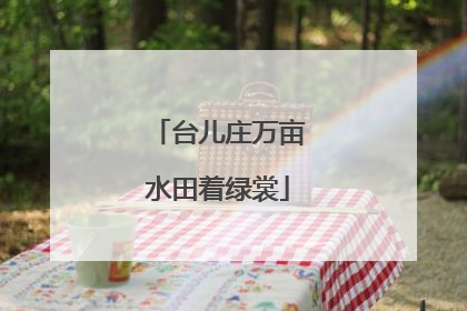 台儿庄万亩水田着绿裳
