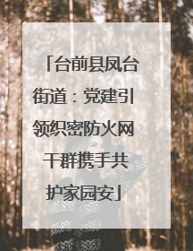 台前县凤台街道：党建引领织密防火网 干群携手共护家园安