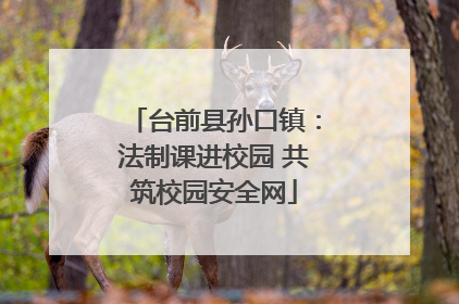 台前县孙口镇：法制课进校园 共筑校园安全网
