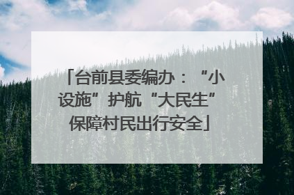 台前县委编办：“小设施”护航“大民生” 保障村民出行安全