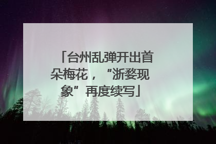 台州乱弹开出首朵梅花，“浙婺现象”再度续写