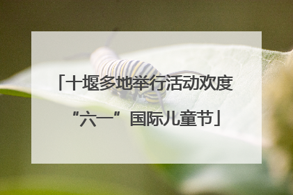 十堰多地举行活动欢度“六一”国际儿童节