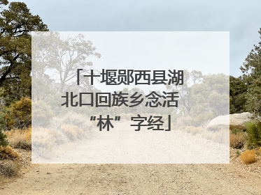 十堰郧西县湖北口回族乡念活“林”字经