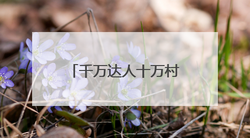 千万达人十万村播，助“荔”大行动火力全开