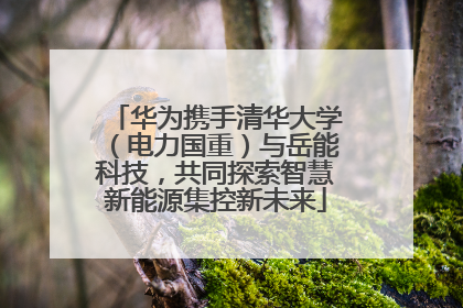 华为携手清华大学（电力国重）与岳能科技，共同探索智慧新能源集控新未来