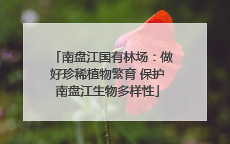 南盘江国有林场：做好珍稀植物繁育 保护南盘江生物多样性