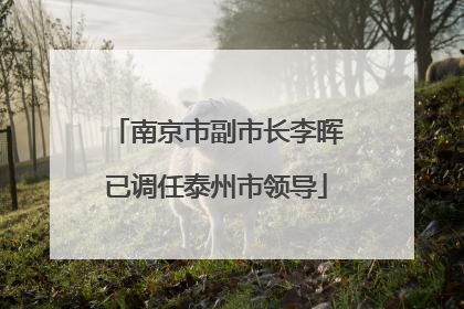 南京市副市长李晖已调任泰州市领导