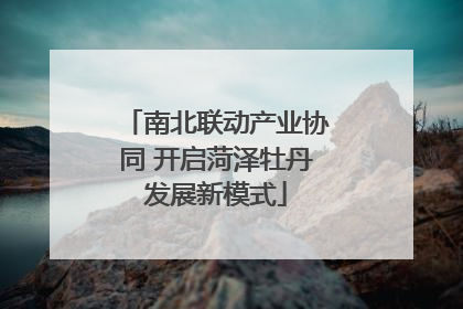 南北联动产业协同 开启菏泽牡丹发展新模式