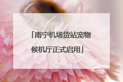 南宁机场货站宠物候机厅正式启用