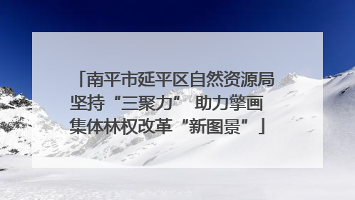 南平市延平区自然资源局坚持“三聚力” 助力擎画集体林权改革“新图景”