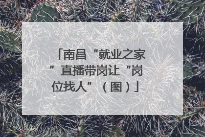 南昌“就业之家”直播带岗让“岗位找人”（图）