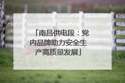 南昌供电段：党内品牌助力安全生产高质量发展
