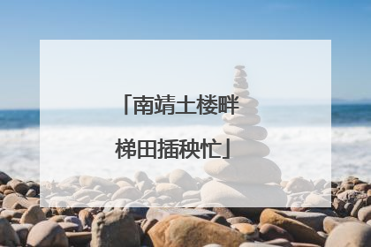 南靖土楼畔 梯田插秧忙