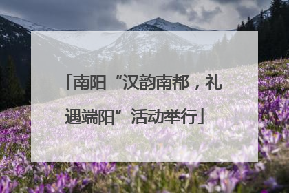 南阳“汉韵南都，礼遇端阳”活动举行
