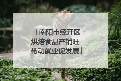南阳市经开区：烘焙食品产销旺 带动就业促发展