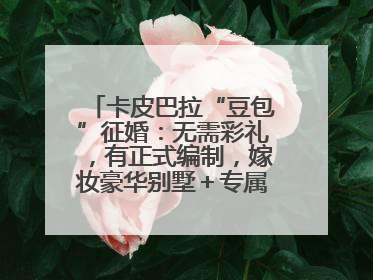 卡皮巴拉“豆包”征婚：无需彩礼，有正式编制，嫁妆豪华别墅＋专属泳池！