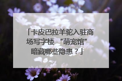 卡皮巴拉羊驼入驻商场写字楼 “萌宠馆”暗藏哪些隐患？