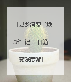 县乡消费“焕新”记 一日游变深度游