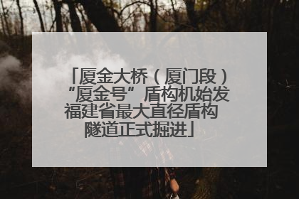 厦金大桥（厦门段）“厦金号”盾构机始发 福建省最大直径盾构隧道正式掘进
