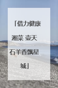 借力健康湘菜 壶天石羊香飘星城