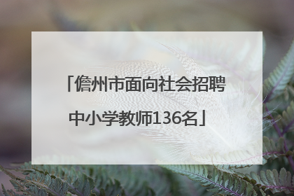 儋州市面向社会招聘中小学教师136名