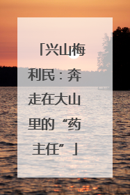兴山梅利民：奔走在大山里的“药主任”
