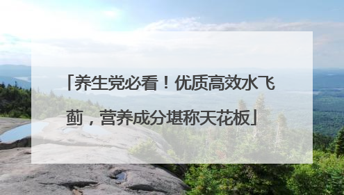 养生党必看！优质高效水飞蓟，营养成分堪称天花板