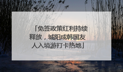 免签政策红利持续释放，城阳成韩国友人入境游打卡热地