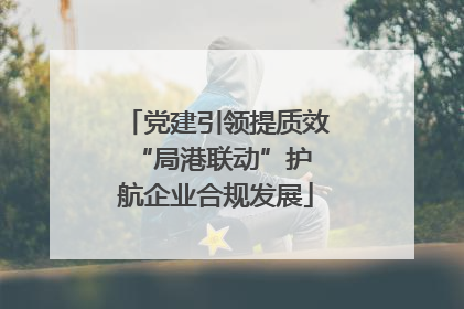 党建引领提质效 “局港联动”护航企业合规发展